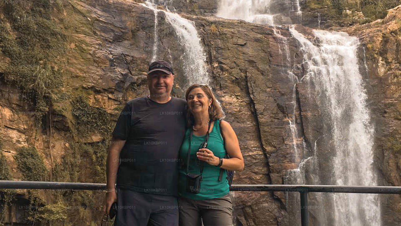 Dive On Excitement (20 días)