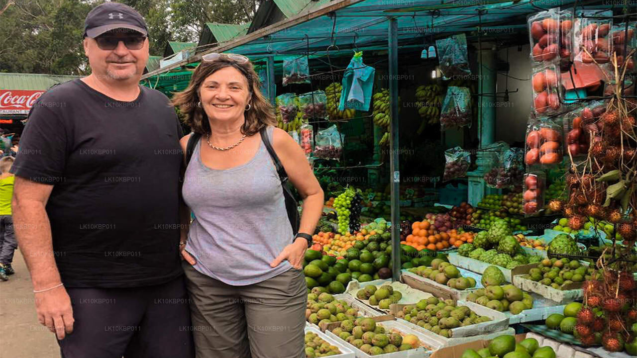 Dive On Excitement (20 días)