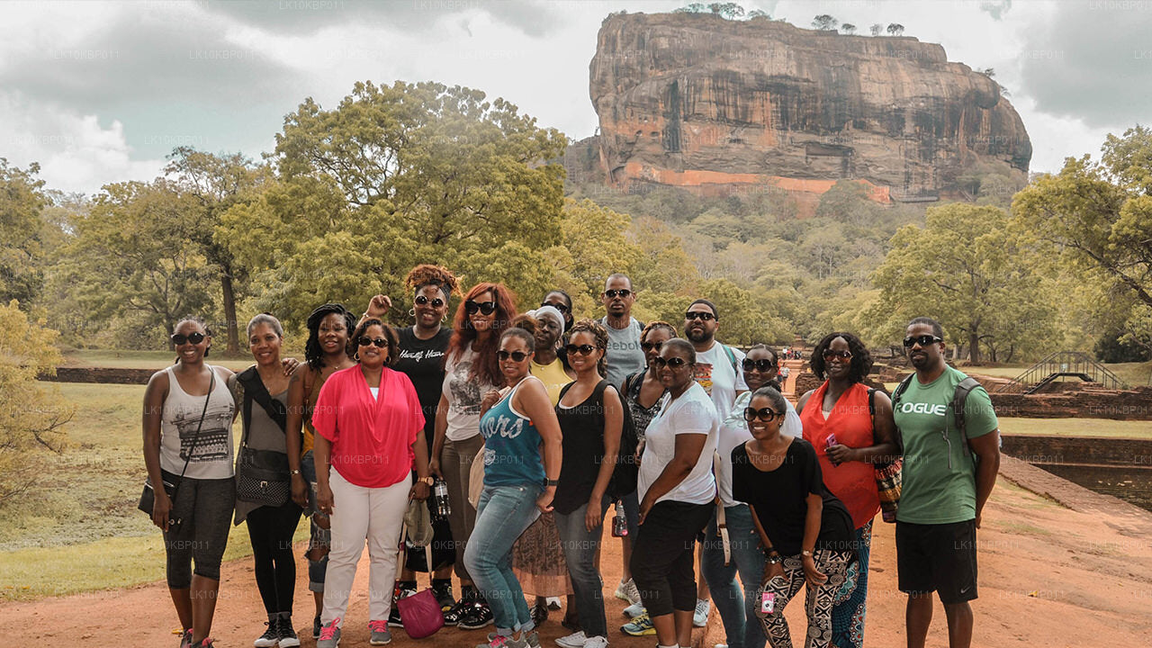 Dive On Excitement (20 días)