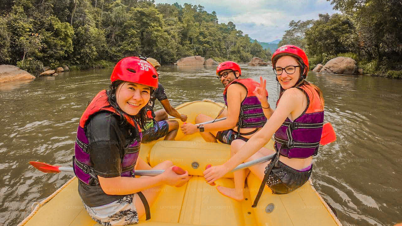 Dive On Excitement (20 días)