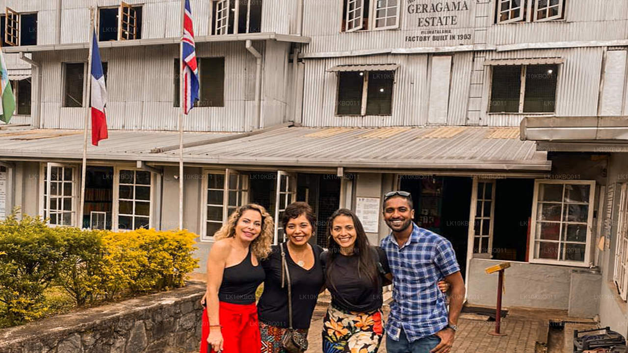 Sri Lanka clásica (20 días)