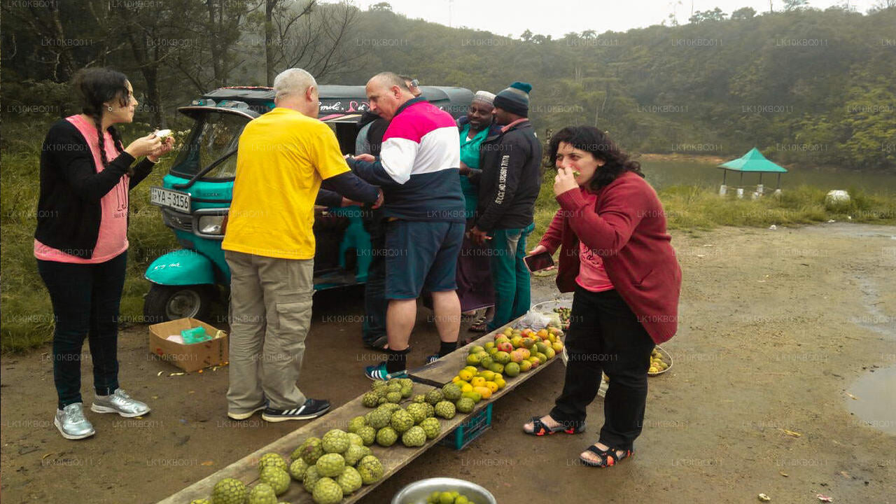 Sri Lanka clásica (20 días)