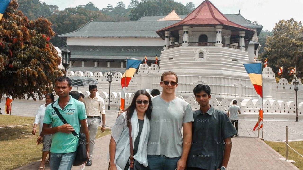 Sri Lanka clásica (20 días)