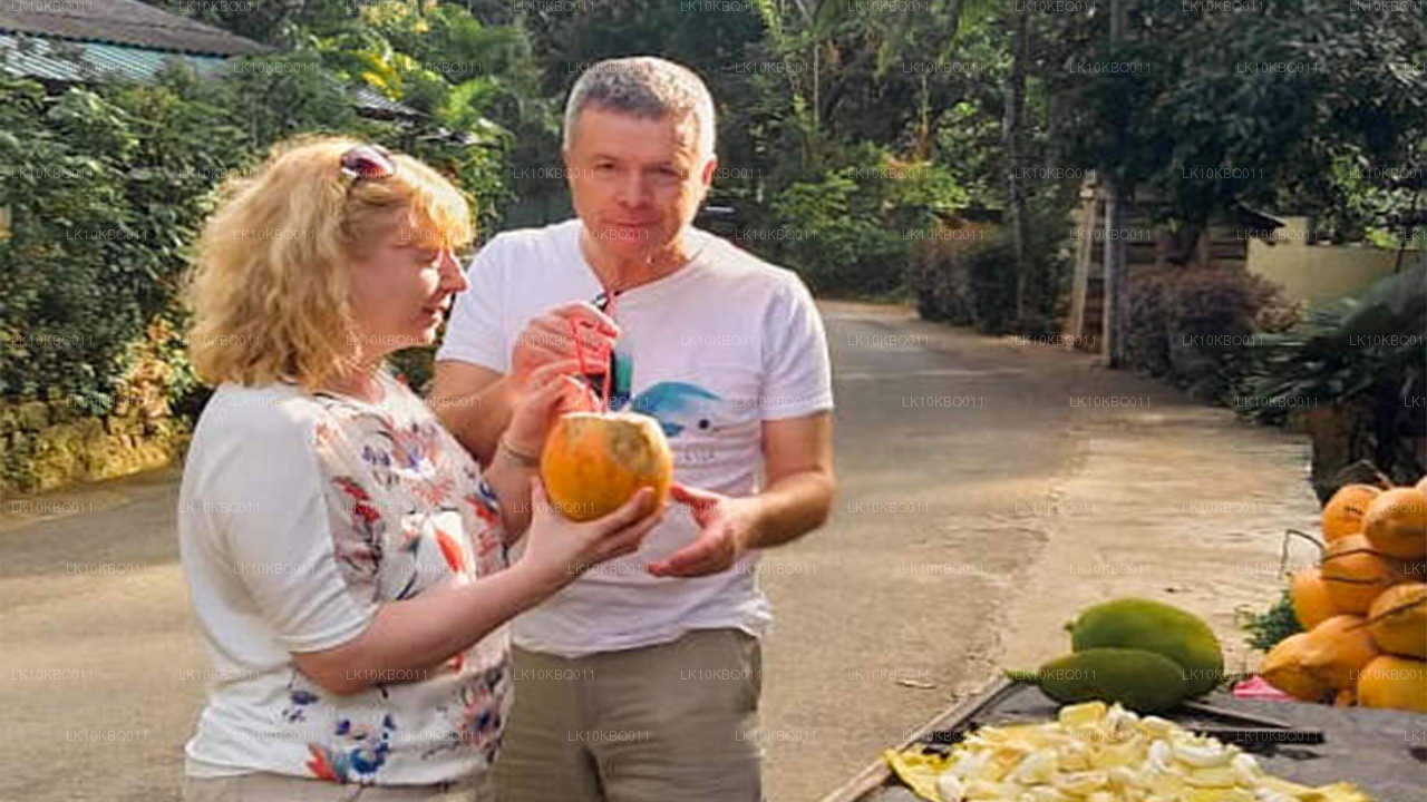 Sri Lanka clásica (20 días)