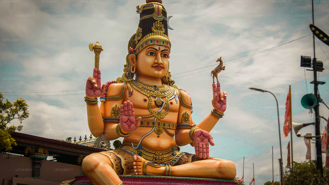 East Explorer (21 días)