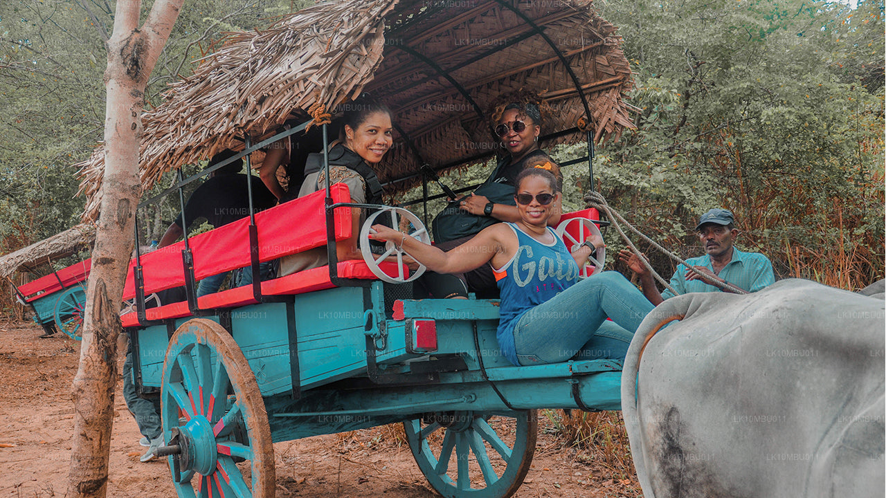 El glamour de Sri Lanka (22 días)