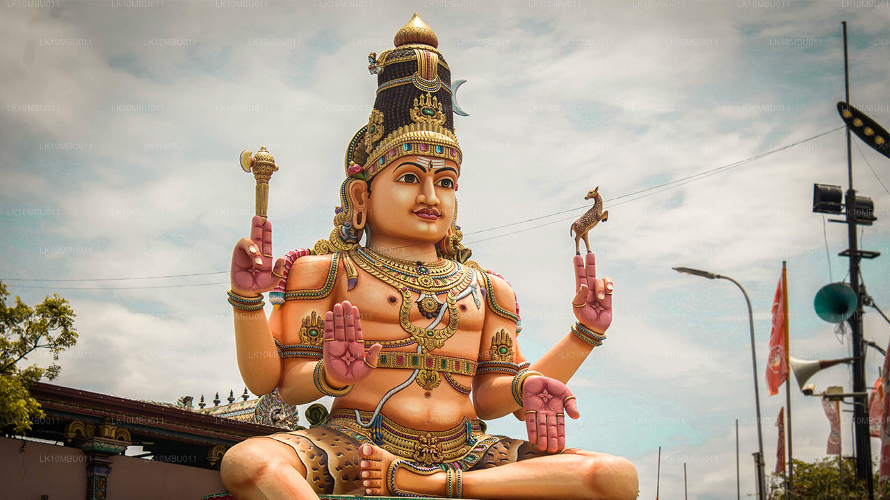 El glamour de Sri Lanka (22 días)