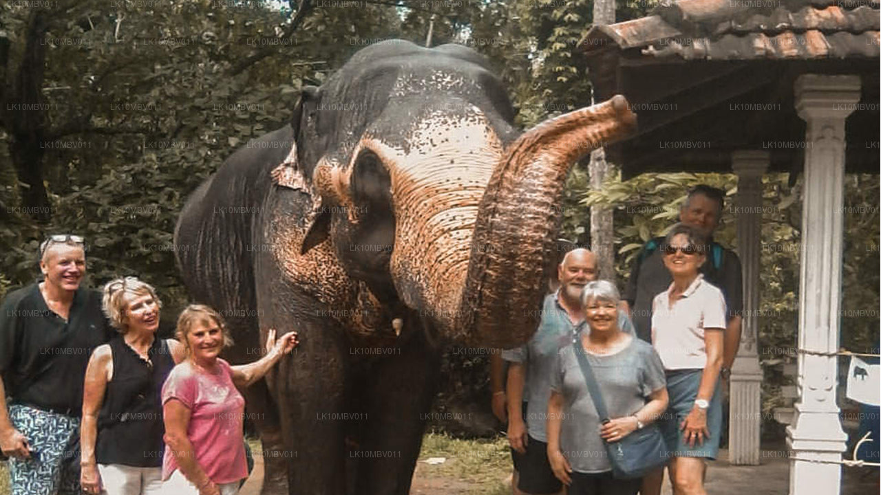 Templos y naturaleza (22 días)