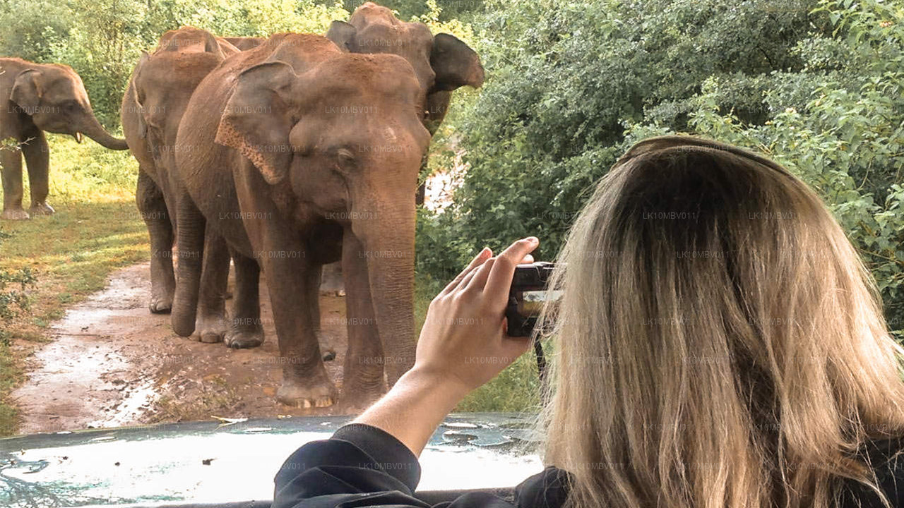 Templos y naturaleza (22 días)