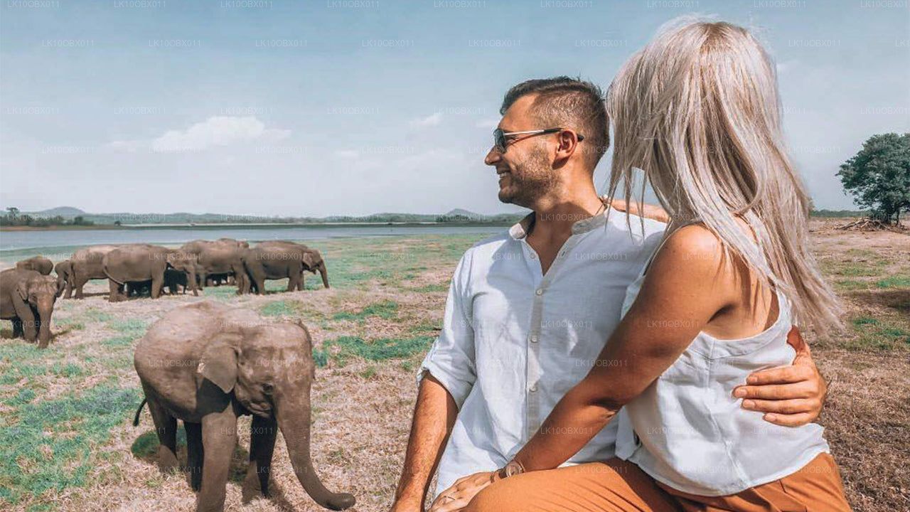 La increíble Sri Lanka (24 días)