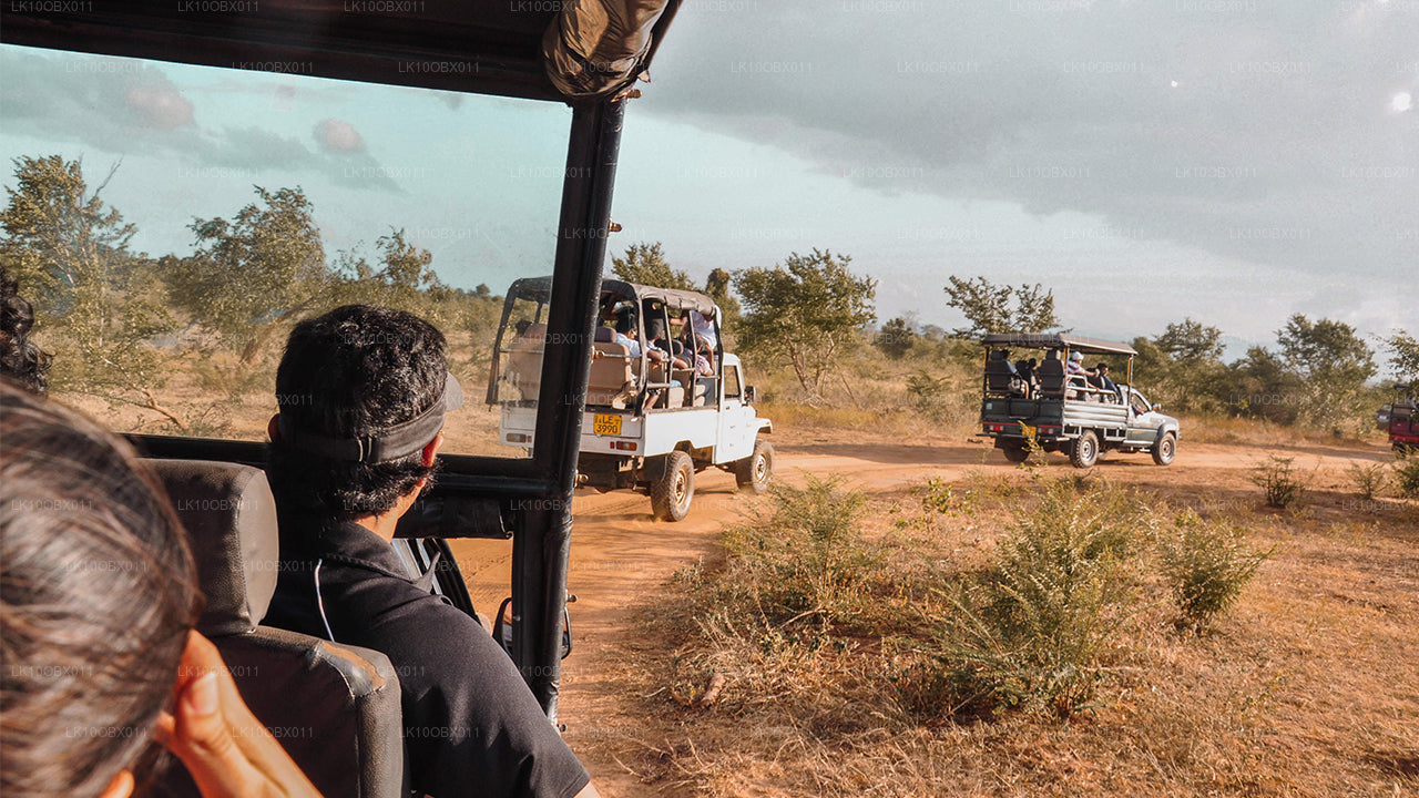 La increíble Sri Lanka (24 días)