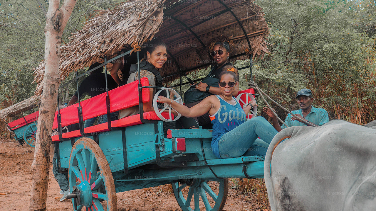 La increíble Sri Lanka (24 días)