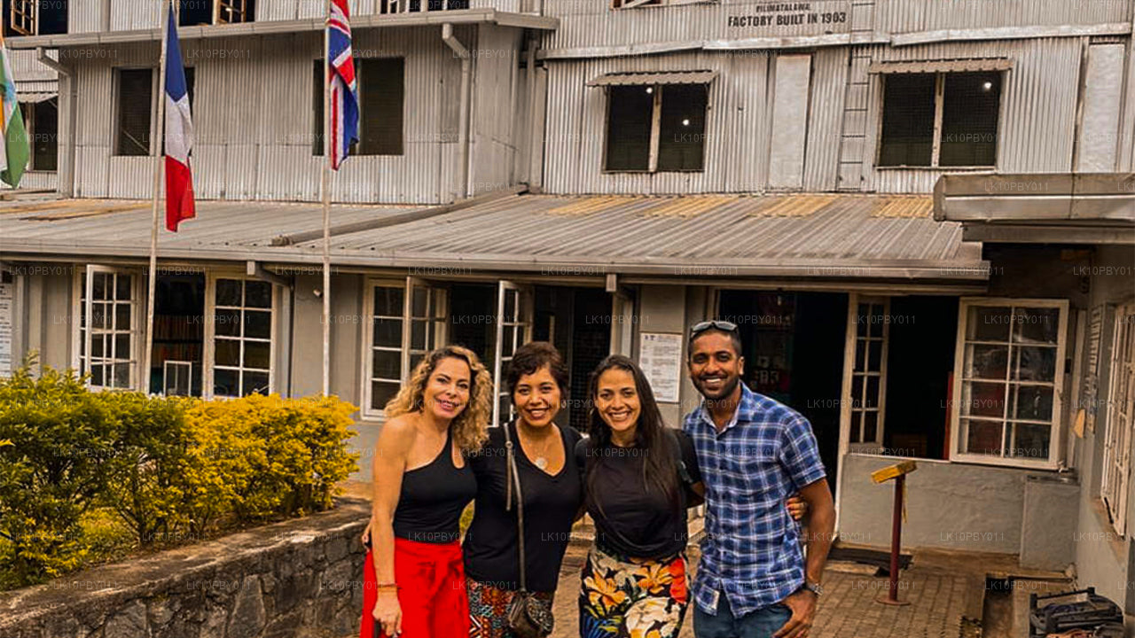 Ceilán Endearment (25 días)