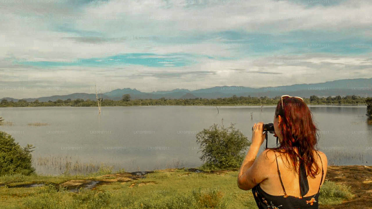 Ceilán Endearment (25 días)