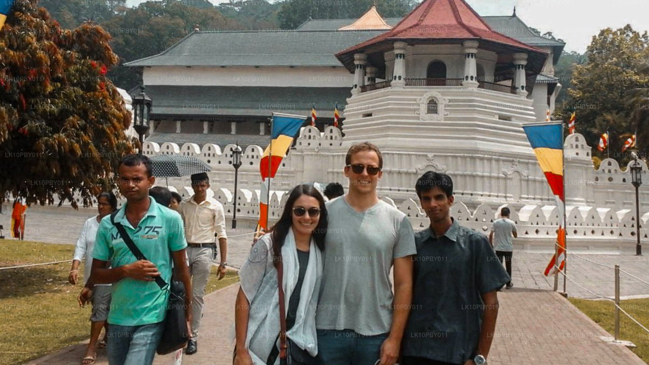 Ceilán Endearment (25 días)