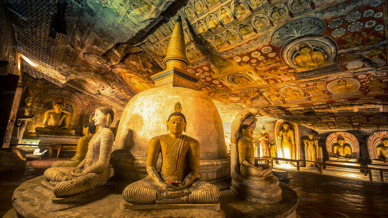 La increíble Sri Lanka (25 días)