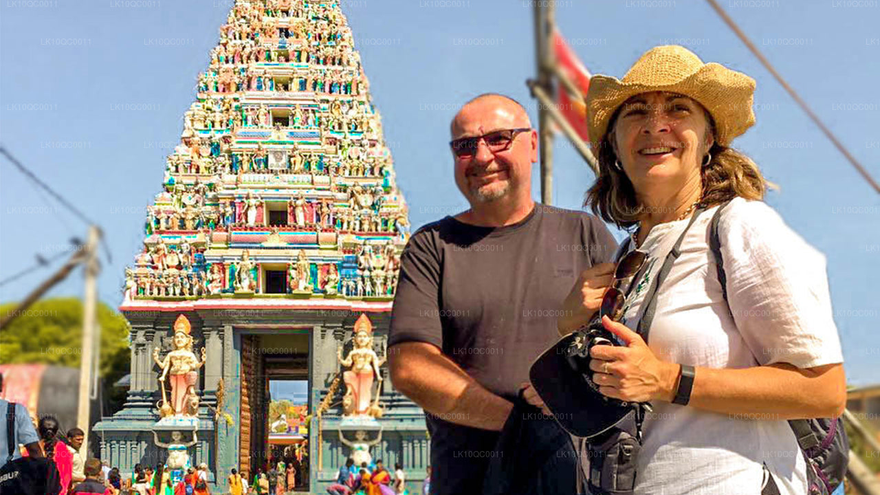 Ceilán Endearment (26 días)