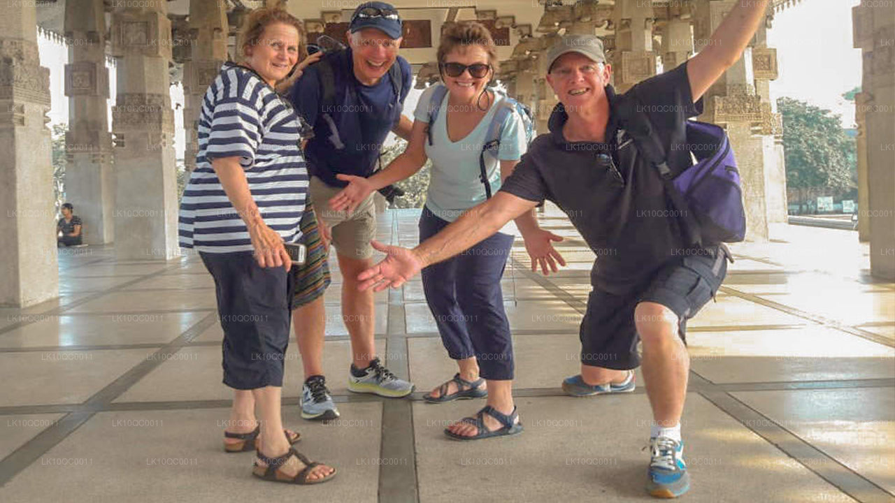 Ceilán Endearment (26 días)