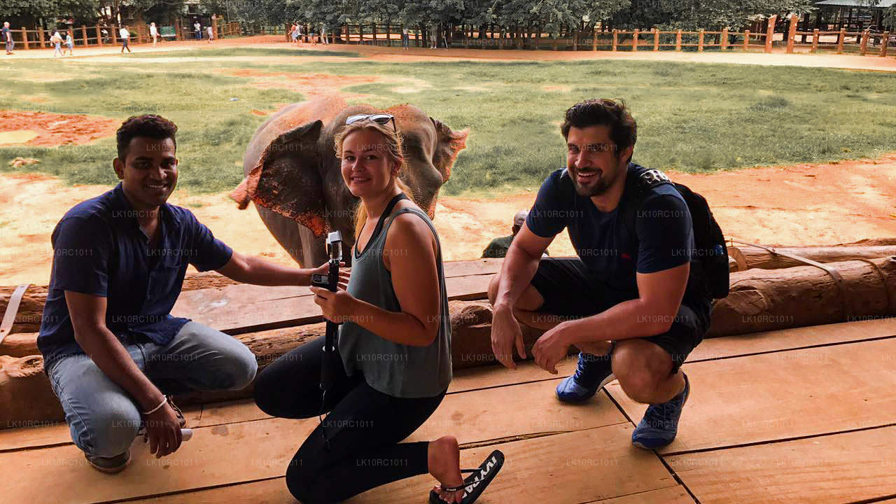 Ceilán Endearment (27 días)