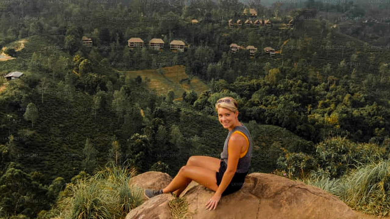 Ceilán Endearment (27 días)