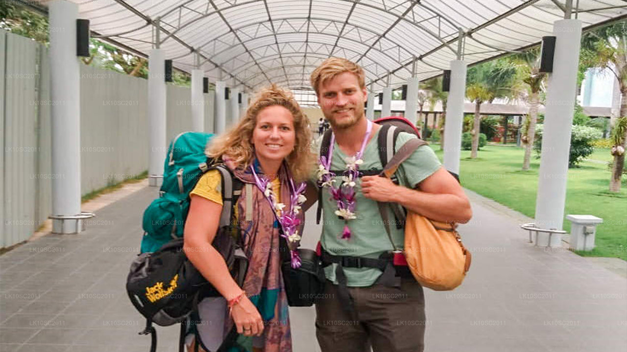 Ceilán Endearment (28 días)