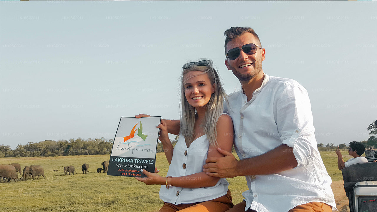 Ceilán Endearment (28 días)