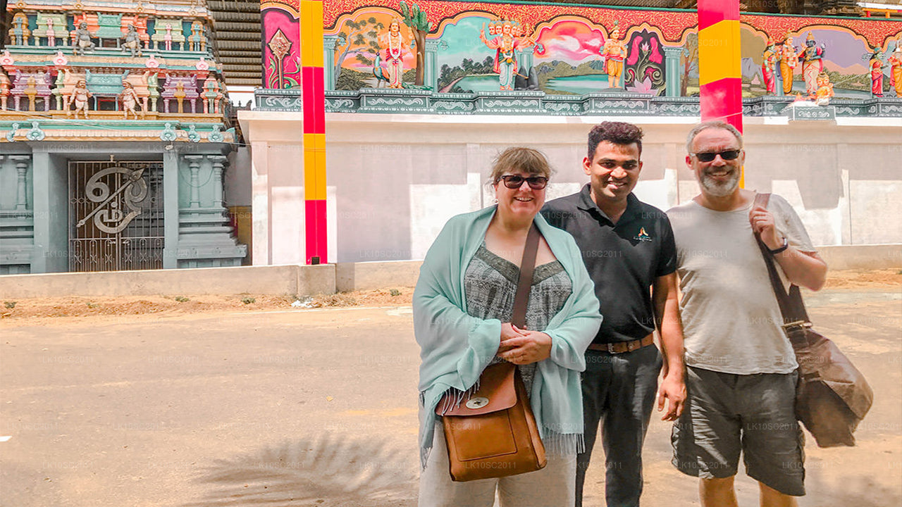 Ceilán Endearment (28 días)