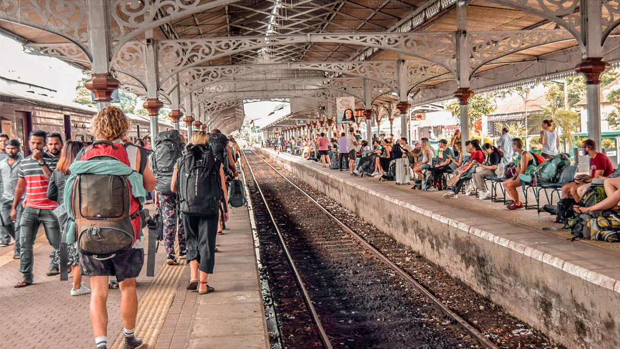 Ceilán Endearment (28 días)