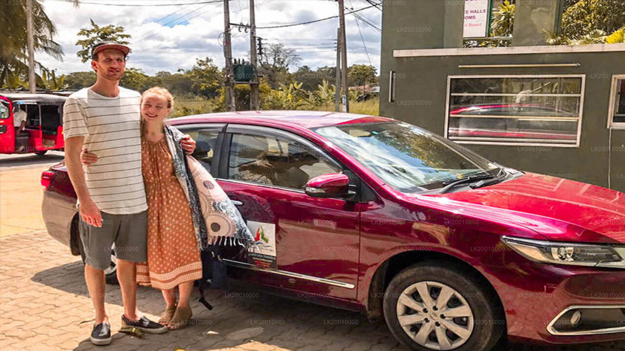 Alquiler de vehículo con chófer (estándar)