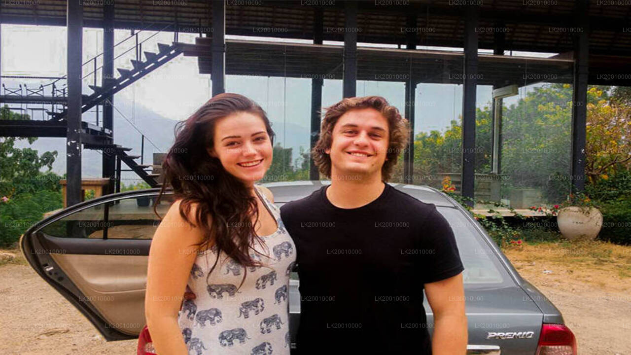 Alquiler de vehículo con chófer (estándar)