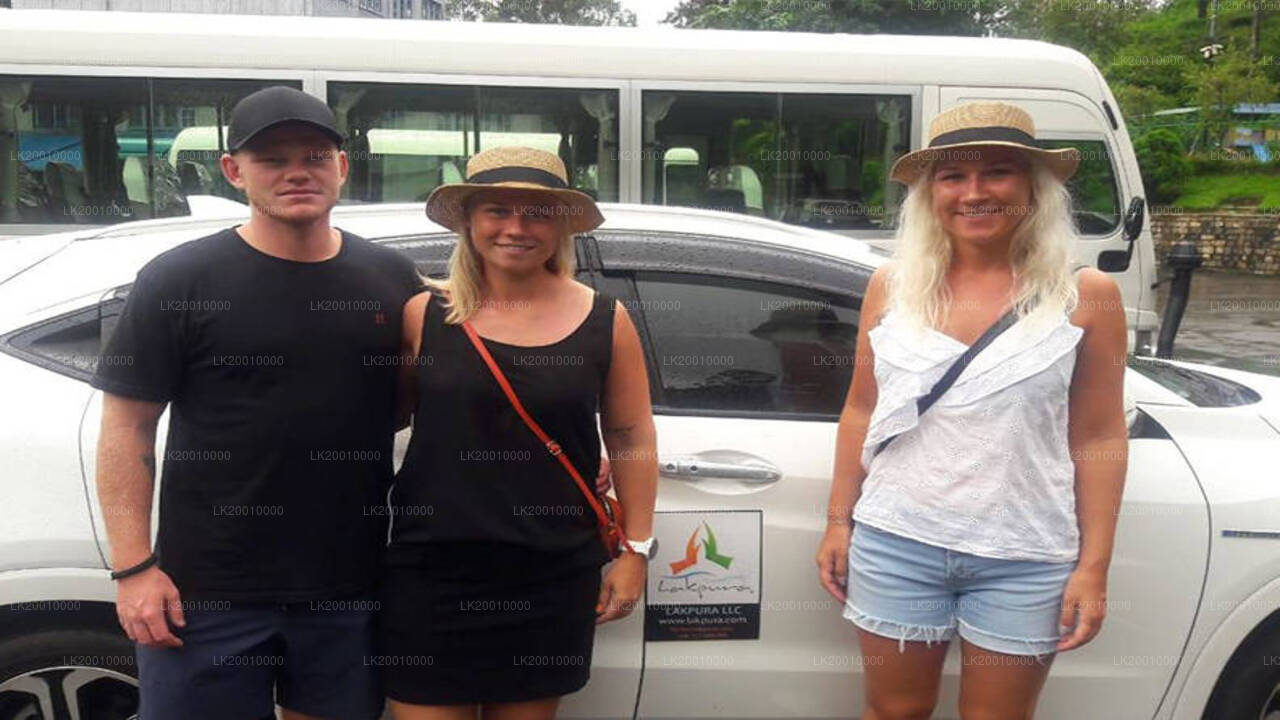 Alquiler de vehículo con chófer (estándar)