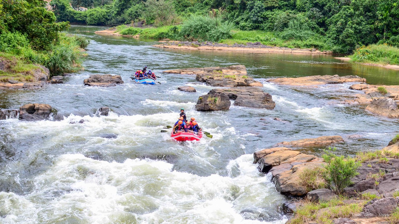 Rafting en aguas bravas desde Kitulgala (5 km)