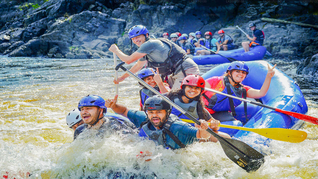 Rafting en aguas bravas desde Negombo