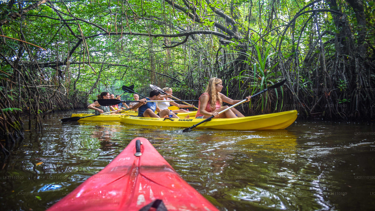 Kayak en el lago Rathgama desde Hikkaduwa