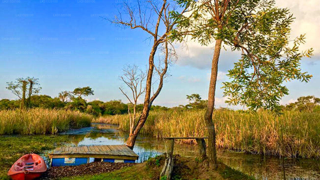 Kayaking from Habarana
