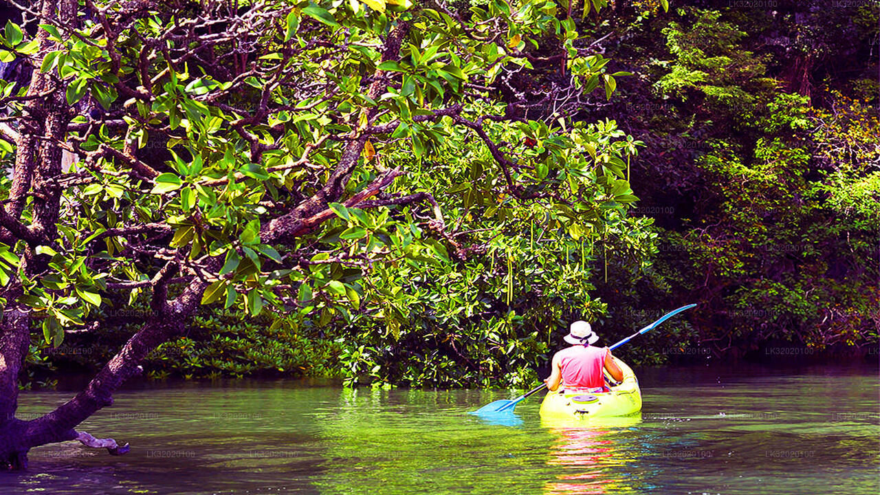 Piragüismo en el río Mahaweli desde Kandy