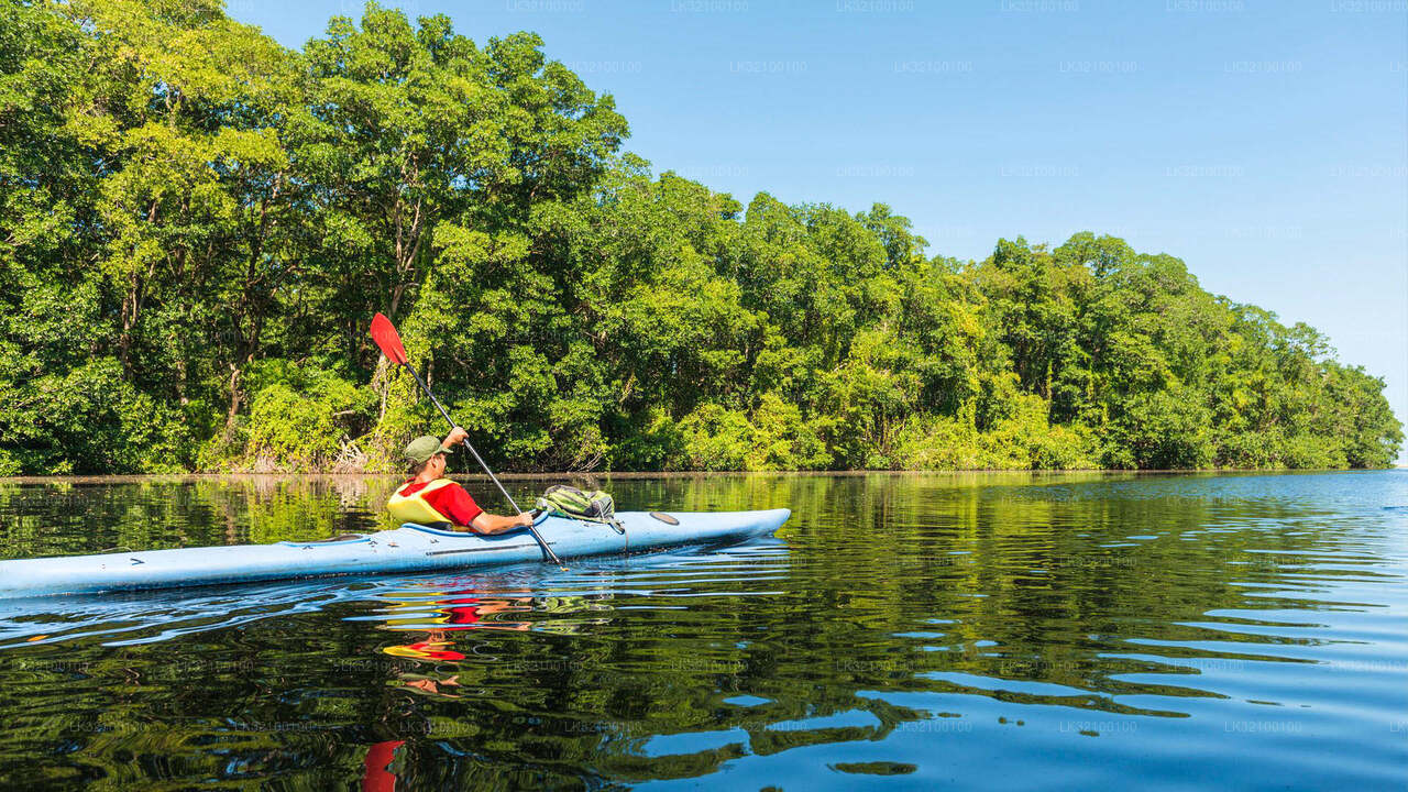 Piragüismo desde Kitulgala
