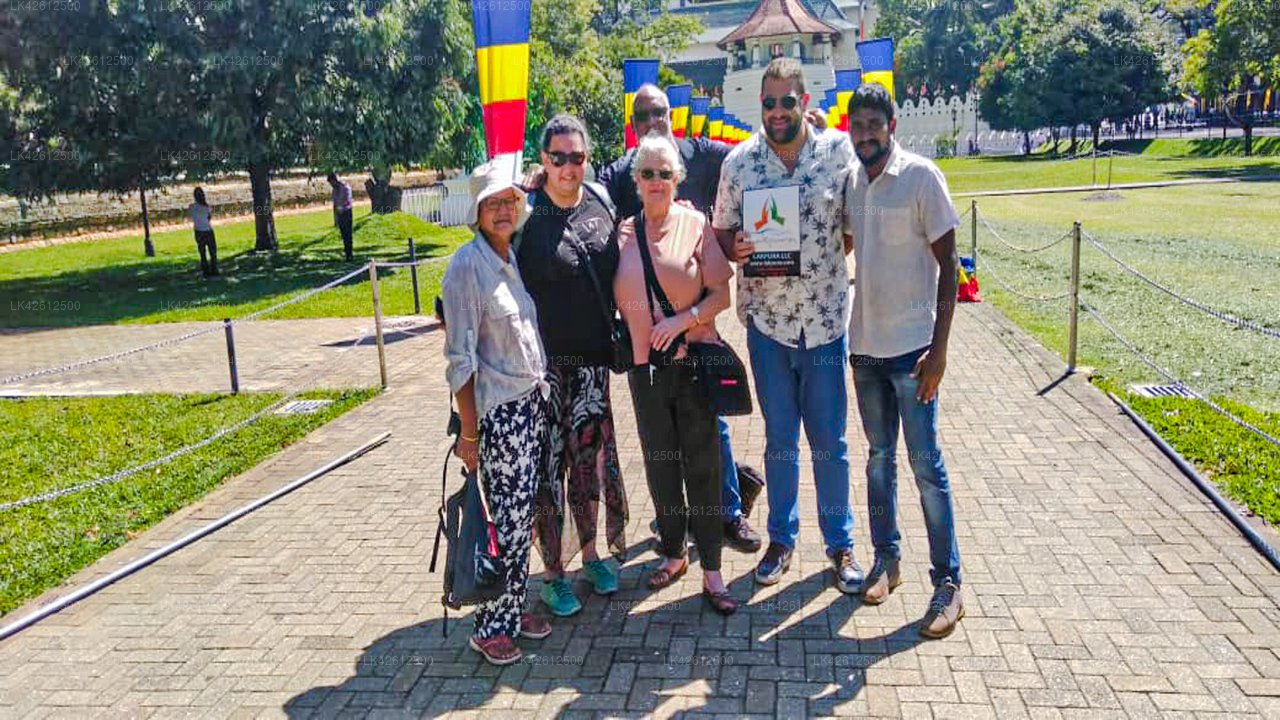 Tangalle City to Negombo City Private Transfer