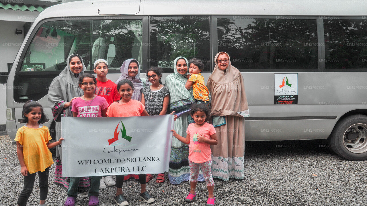 Udawalawe City to Badulla City Private Transfer