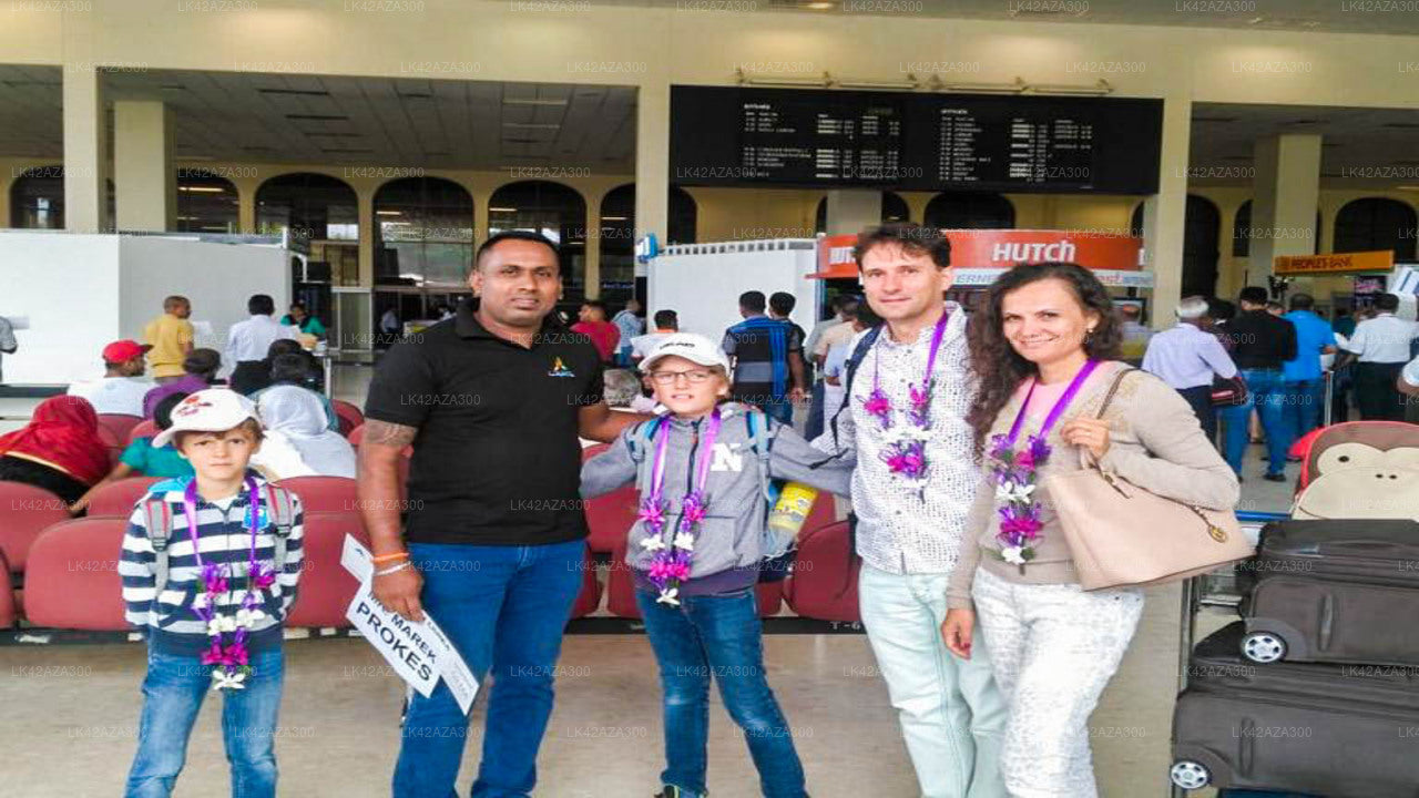 Wellawaya City to Talpe City Private Transfer