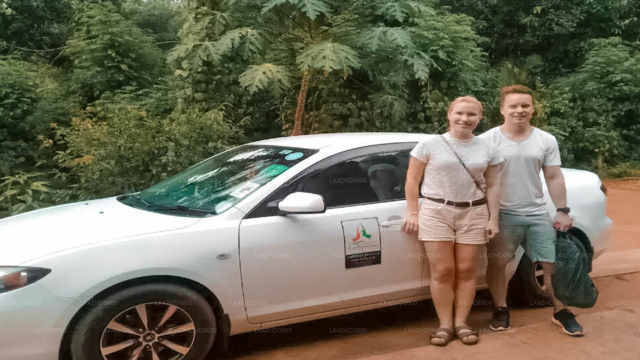 Traslado privado de Elephant Pass City a Anuradhapura City