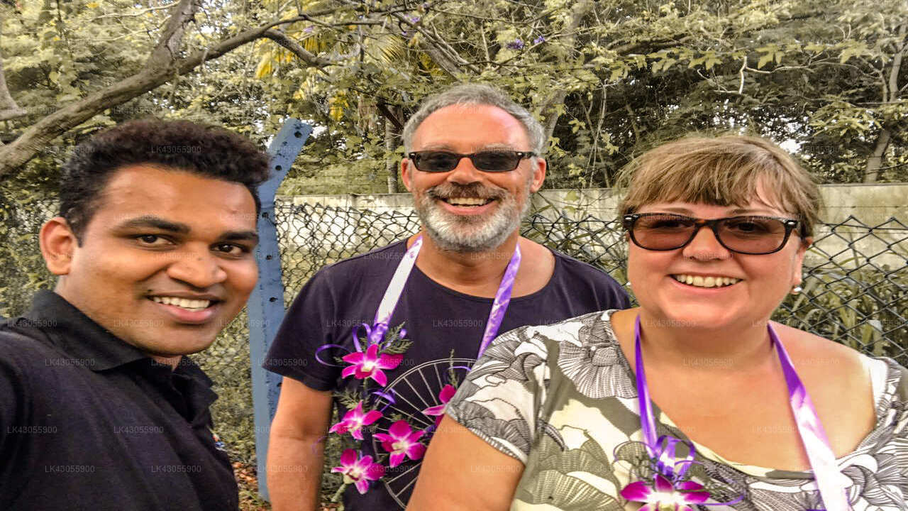 Transfer between Colombo Airport (CMB) and Avenra Beach Hotel, Hikkaduwa