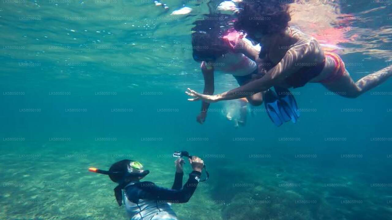 Buceo con esnórquel desde Negombo