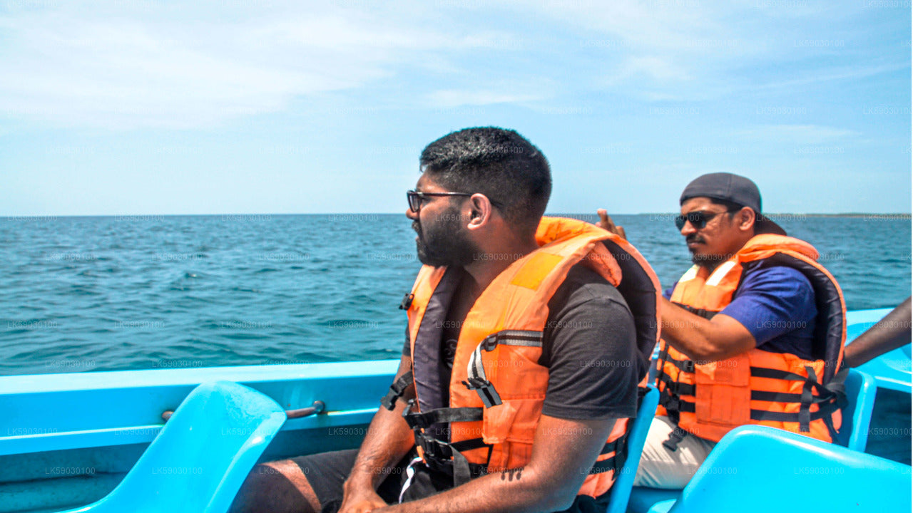 Excursión en barco para pesca de altura desde Bentota