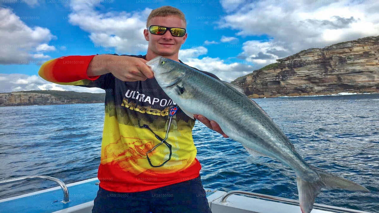 Excursión en barco de pesca en alta mar desde Kalpitiya