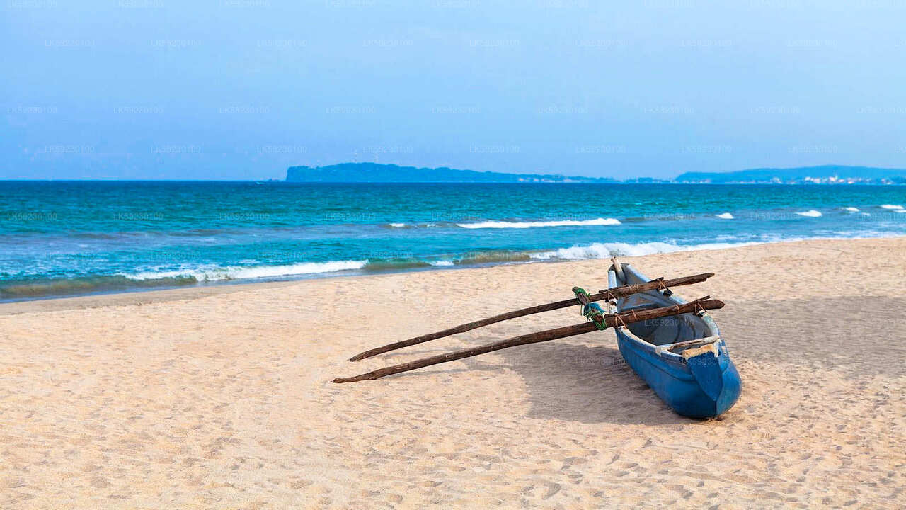 Excursión en barco de pesca en alta mar desde Trincomalee