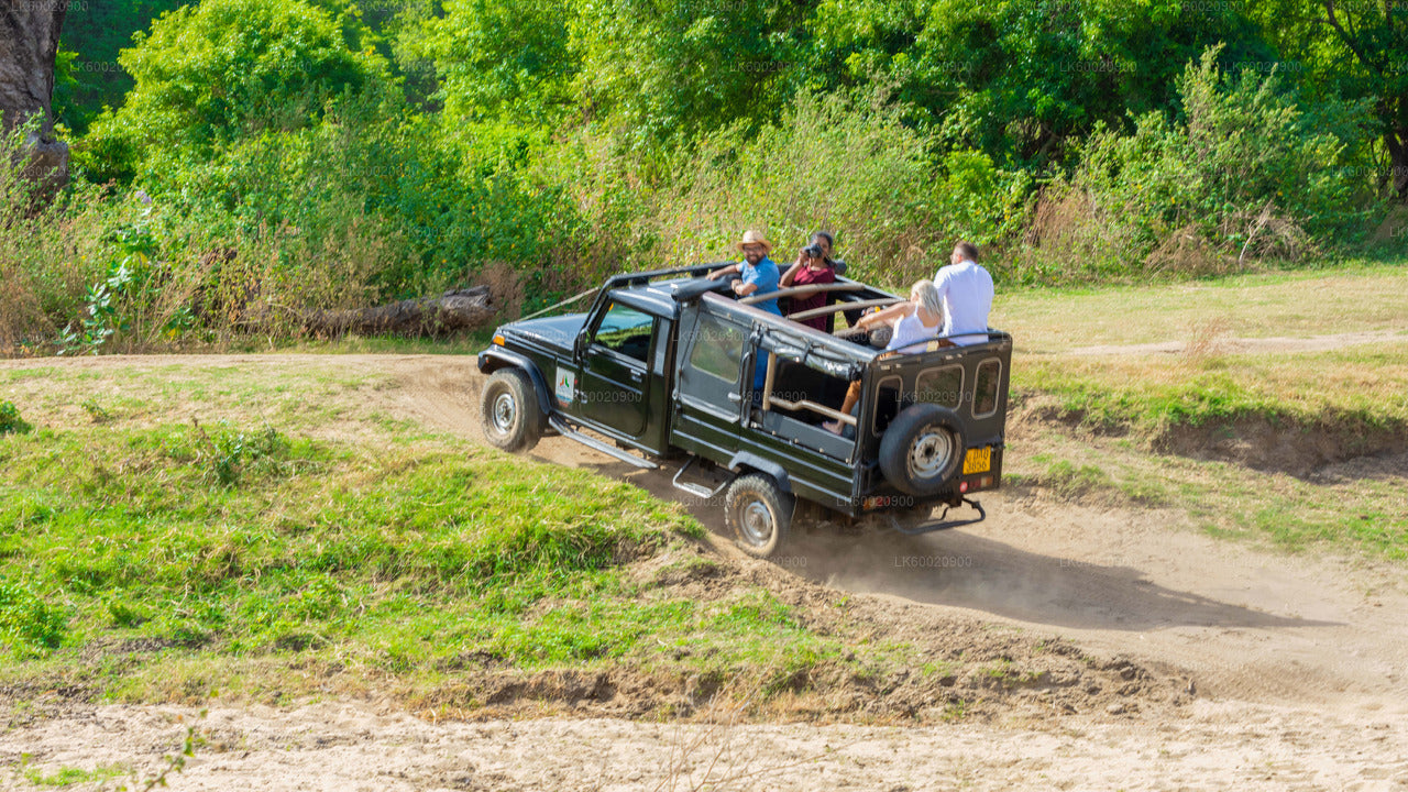 Safari por el Parque Nacional Bundala desde Ahungalla