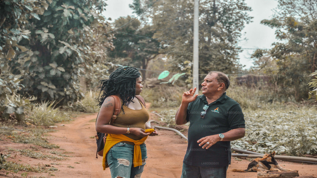 Visita al pueblo de Hiriwadunna desde Habarana