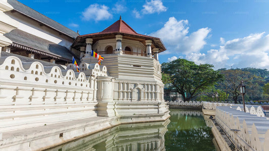 Recorrido por la ciudad de Kandy desde Bentota