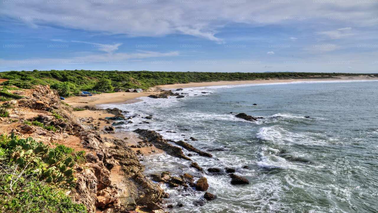Safari por el Parque Nacional Bundala desde Bentota